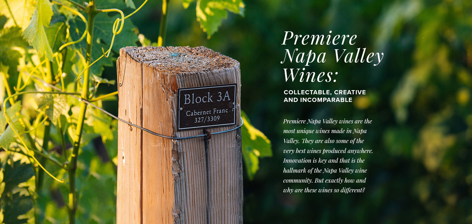 Premiere Napa Valley Wines: collectable, creative and incomparable